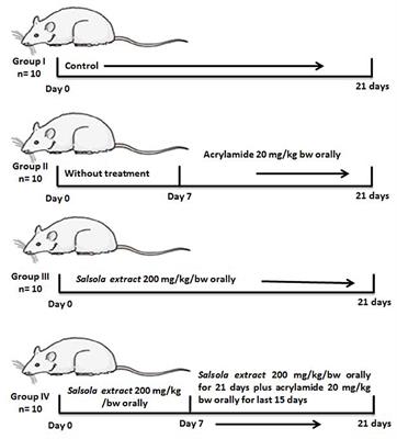 The Protective Impact of Salsola imbricata Leaf Extract From Taif Against Acrylamide-Induced Hepatic Inflammation and Oxidative Damage: The Role of Antioxidants, Cytokines, and Apoptosis-Associated Genes